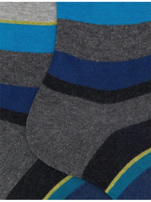 AP10341532646 FANTASIA gallo | AP10341532646 FANTASIA